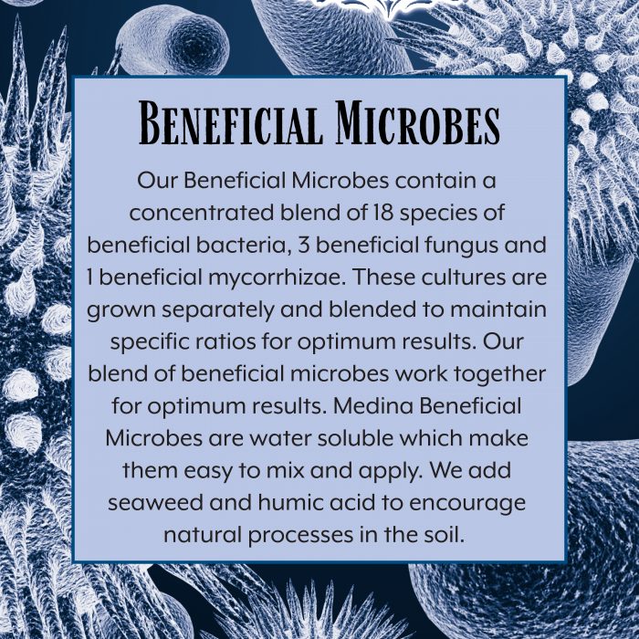 Beneficial Microbes - Image 2