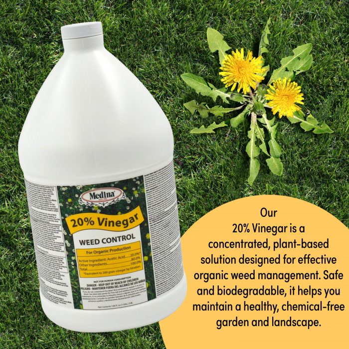 20% Vinegar Weed Control - Image 4