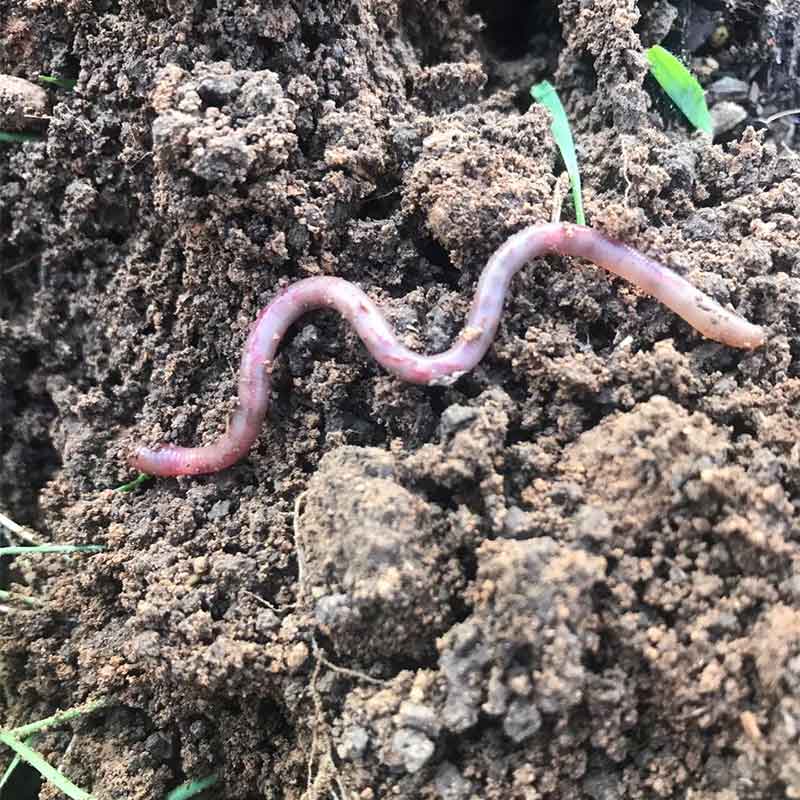 how to improve soil structure and managing crop residue