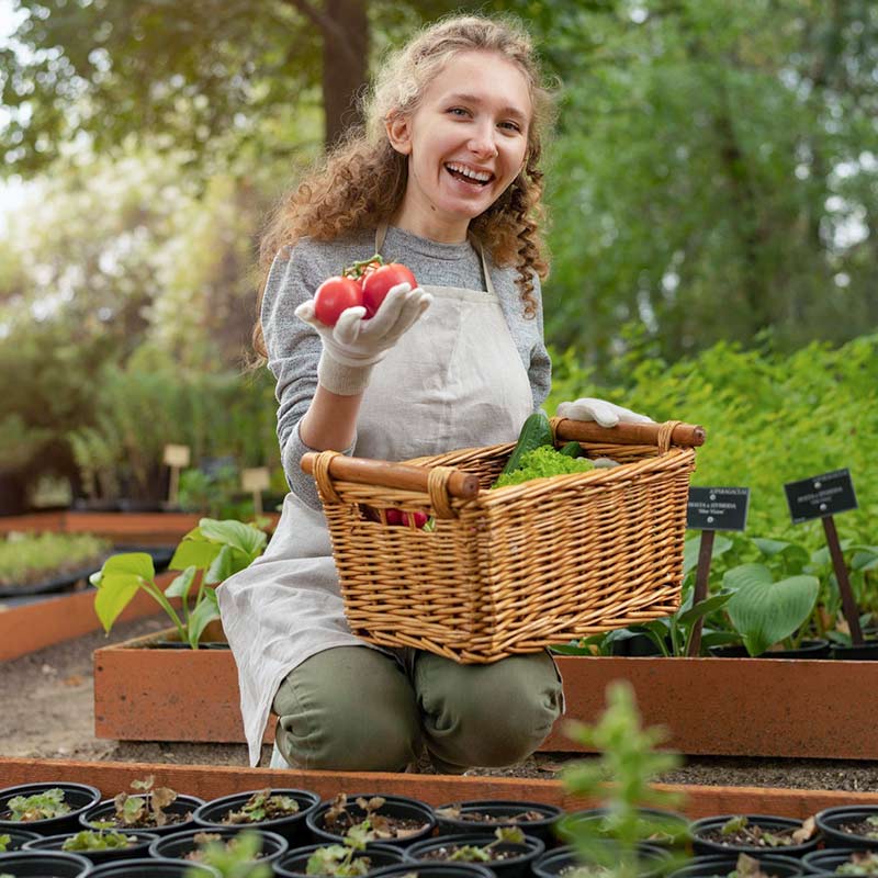 how to remediate herbicide and chemical residue on plants and in soil