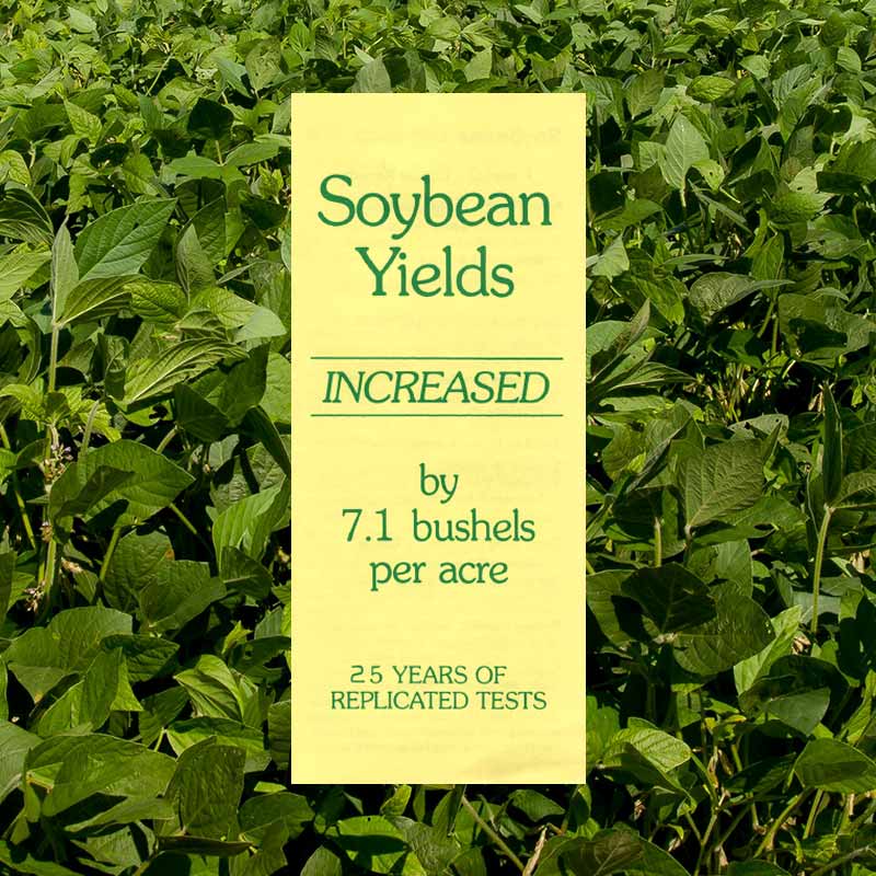 soybean field yield increase with Medina AG products
