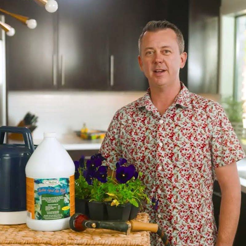 Fish Blend Product Application video