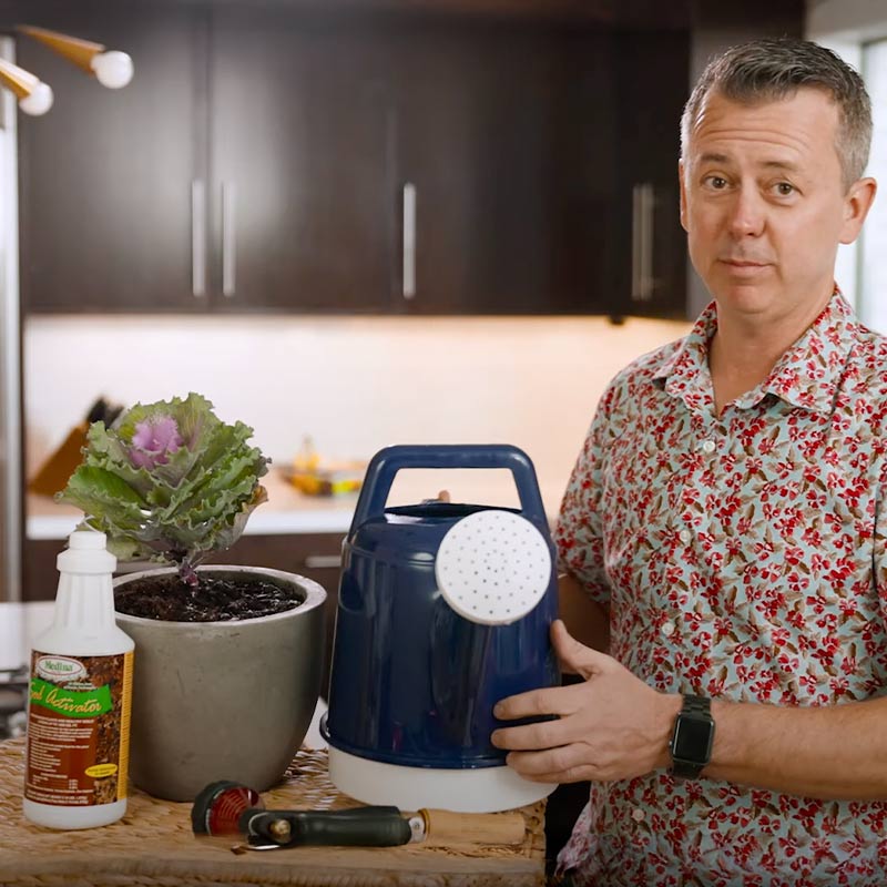 Medina Soil Activator Product Application video
