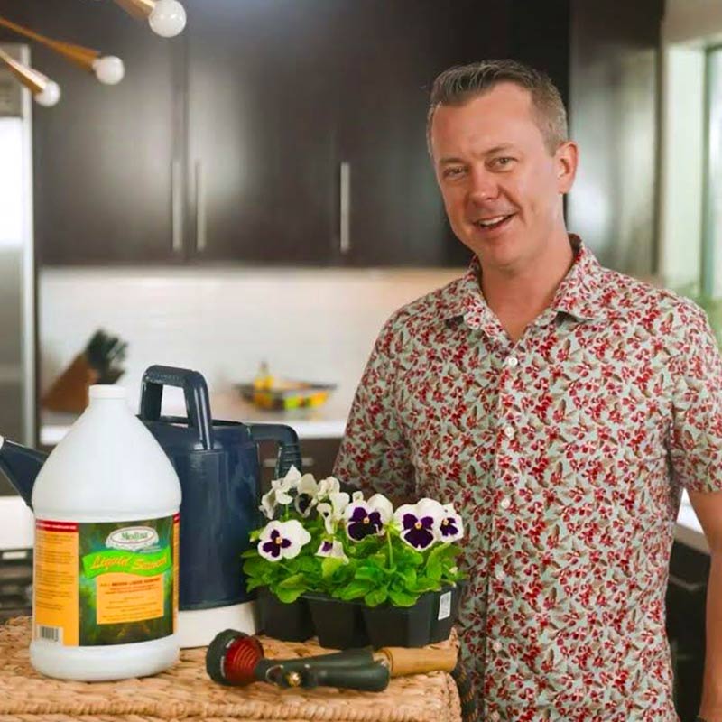 Seaweed Product Application video