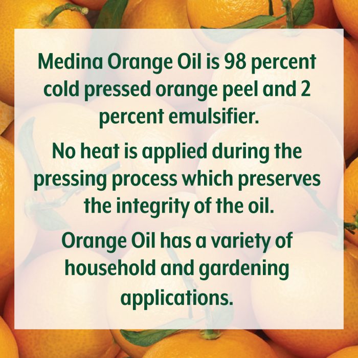 Orange Oil - Image 2