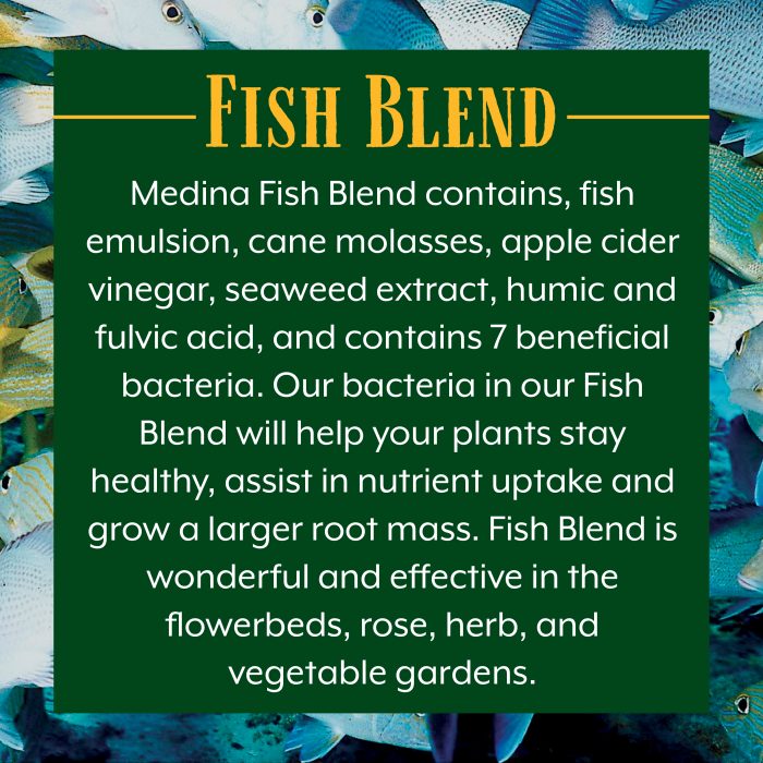 Fish Blend - Image 2