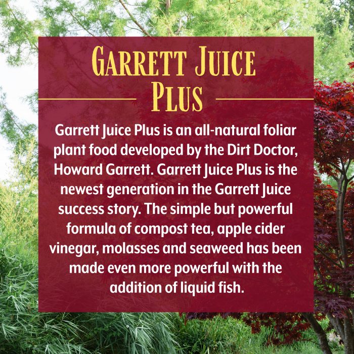 Garrett Juice - Image 2