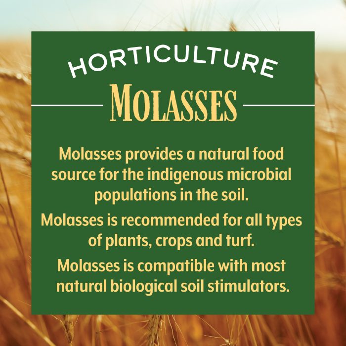 Horticulture Molasses - Image 2